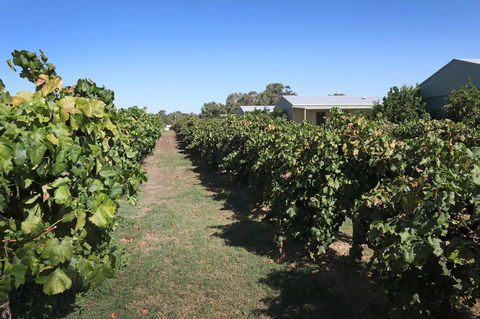Swan Valley Sisters - Northern Rivers Accommodation 9