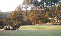 Book Walpole Accommodation Vacations Northern Rivers Accommodation Northern Rivers Accommodation