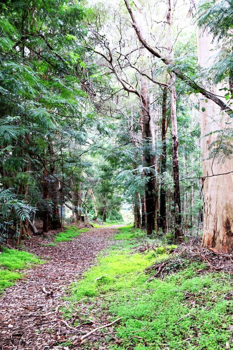 Treenbrook Cottages - Northern Rivers Accommodation 12