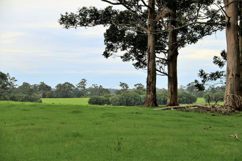 Treenbrook Cottages - Northern Rivers Accommodation 11