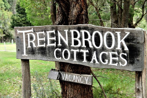 Treenbrook Cottages - Northern Rivers Accommodation 3