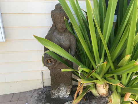 Peoples Park - Northern Rivers Accommodation 21