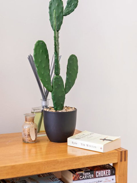 Cooper Street - Northern Rivers Accommodation 23