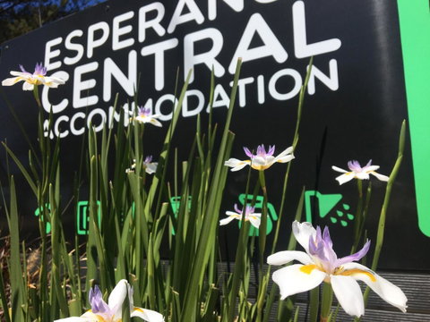 Esperance Central Accommodation - Northern Rivers Accommodation 0
