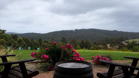 Karri Aura - Northern Rivers Accommodation 3