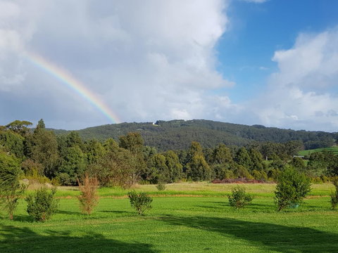 Karri Aura - Northern Rivers Accommodation 5