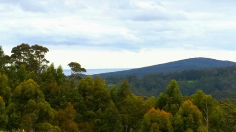 Karri Aura - Northern Rivers Accommodation 10