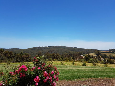 Karri Aura - Northern Rivers Accommodation 9