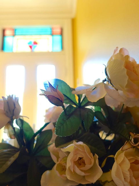 The Blacksmiths Cottage - Northern Rivers Accommodation 16