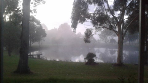 Abbivale Farm Cottage - Northern Rivers Accommodation 18