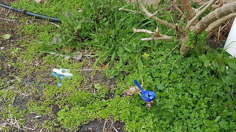 Abbivale Farm Cottage - Northern Rivers Accommodation 17