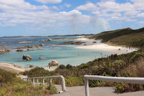 Abbivale Farm Cottage - Northern Rivers Accommodation 19