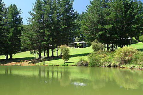 Hawke Brook Chalets - Northern Rivers Accommodation 2