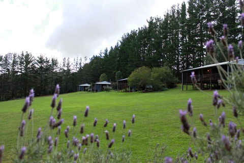 Hawke Brook Chalets - Northern Rivers Accommodation 1