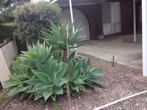 â˜… Stylish Family Home! â˜… - Northern Rivers Accommodation 2