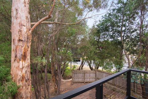 Margarets Forest - Northern Rivers Accommodation 12