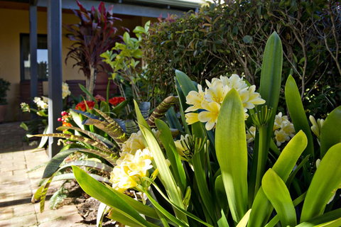 Vintages Accommodation - Northern Rivers Accommodation 19