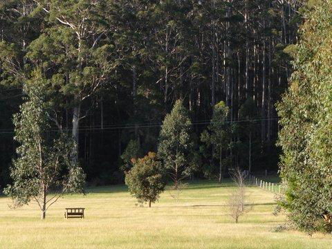 Big Brook Retreat - Northern Rivers Accommodation 5