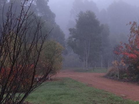 Big Brook Retreat - Northern Rivers Accommodation 14