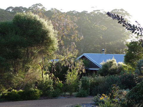 Big Brook Retreat - Northern Rivers Accommodation 4