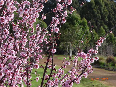 Big Brook Retreat - Northern Rivers Accommodation 9