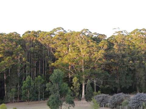 Big Brook Retreat - Northern Rivers Accommodation 11