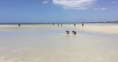 Beach House Dunsborough - Northern Rivers Accommodation 22