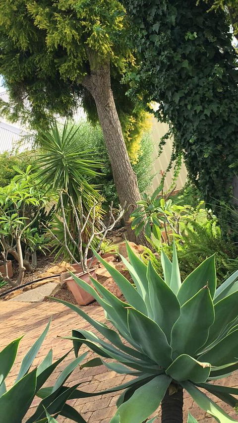 Armadale Cottage Bed & Breakfast - Northern Rivers Accommodation 1