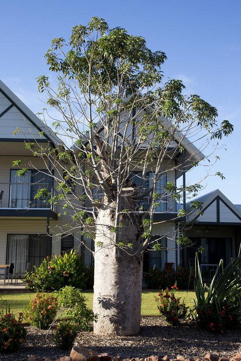 Freshwater East Kimberley Apartments - Northern Rivers Accommodation 18