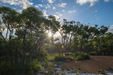 Cape Howe Cottages - Northern Rivers Accommodation 1