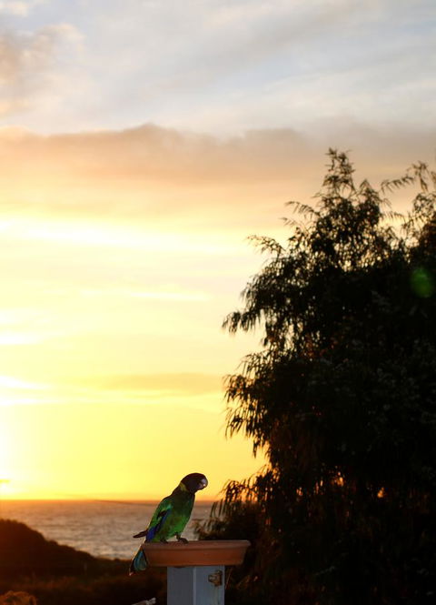 Peppy Beach Ocean Views - Northern Rivers Accommodation 12
