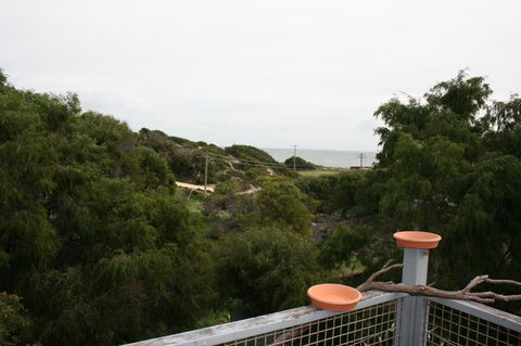 Peppy Beach Ocean Views - Northern Rivers Accommodation 8