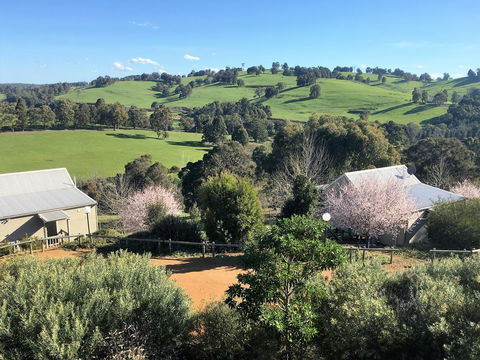 Balingup Highview Chalets - Northern Rivers Accommodation 5
