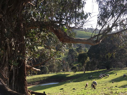 Balingup Highview Chalets - Northern Rivers Accommodation 13