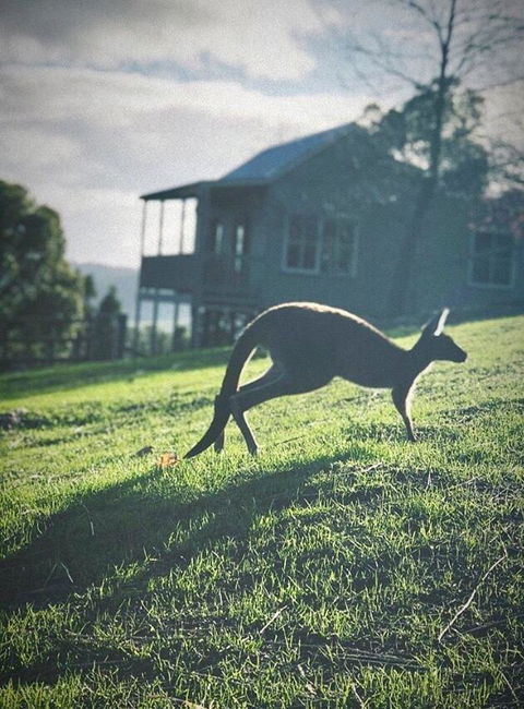 Balingup Highview Chalets - Northern Rivers Accommodation 10