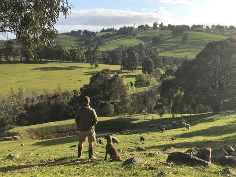 Balingup Highview Chalets - Northern Rivers Accommodation 27