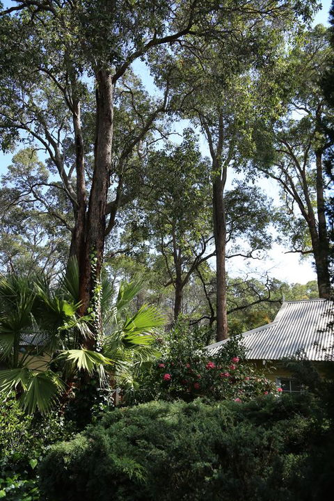 Two Sisters Chalets - Northern Rivers Accommodation 33