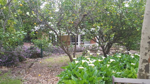 Two Sisters Chalets - Northern Rivers Accommodation 15