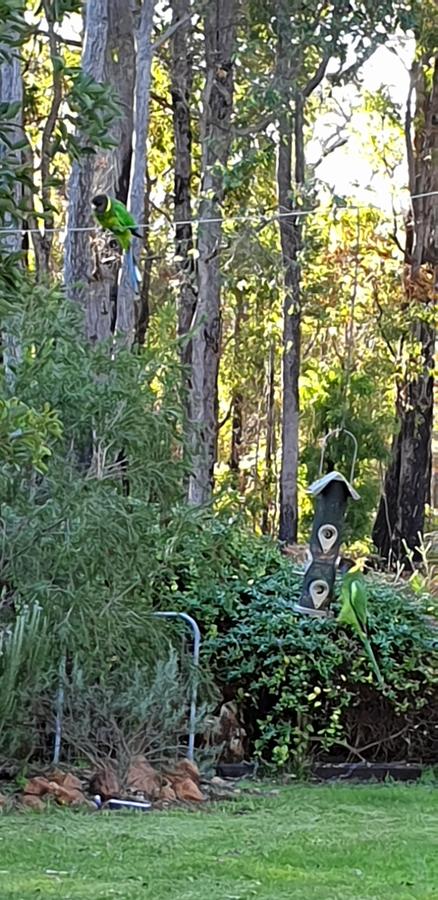 Di's Cabin In Dwellingup - Northern Rivers Accommodation 6