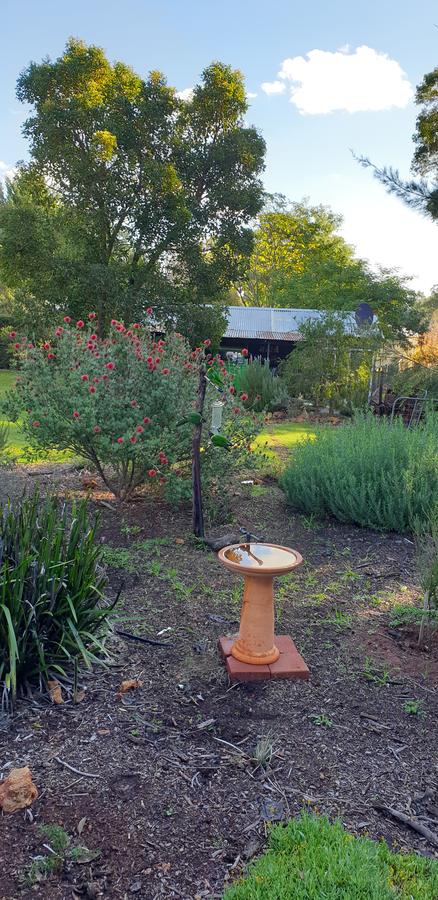 Di's Cabin In Dwellingup - Northern Rivers Accommodation 14