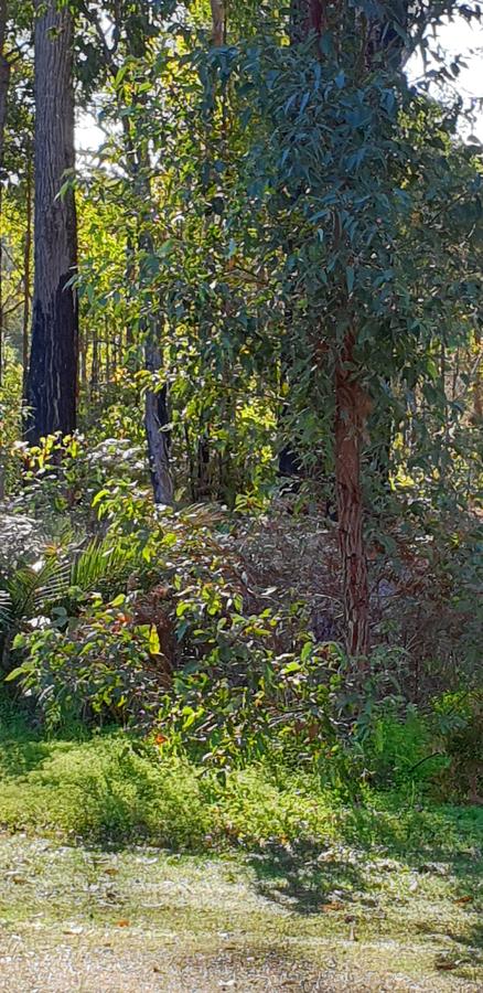 Di's Cabin In Dwellingup - Northern Rivers Accommodation 8