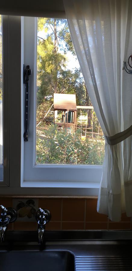 Di's Cabin In Dwellingup - Northern Rivers Accommodation 15