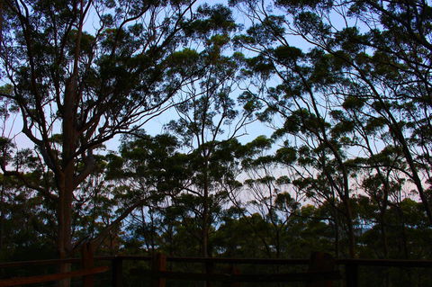 Ark Of Denmark - Northern Rivers Accommodation 27