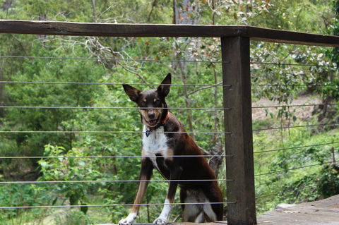 Ark Of Denmark - Northern Rivers Accommodation 10