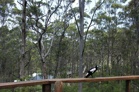 Ark Of Denmark - Northern Rivers Accommodation 11