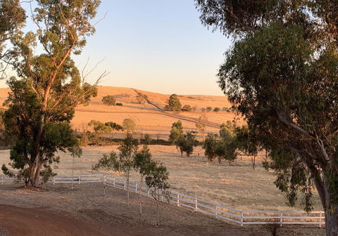 Daisy Cottage - Northern Rivers Accommodation 4