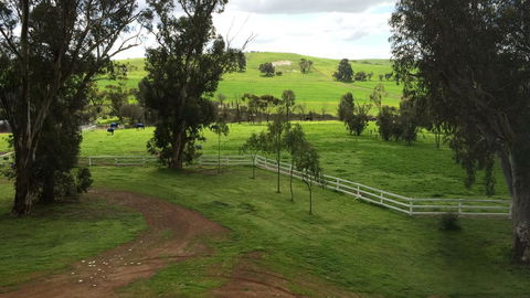 Daisy Cottage - Northern Rivers Accommodation 22