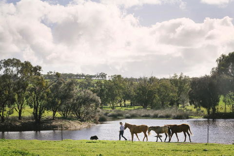 Daisy Cottage - Northern Rivers Accommodation 28