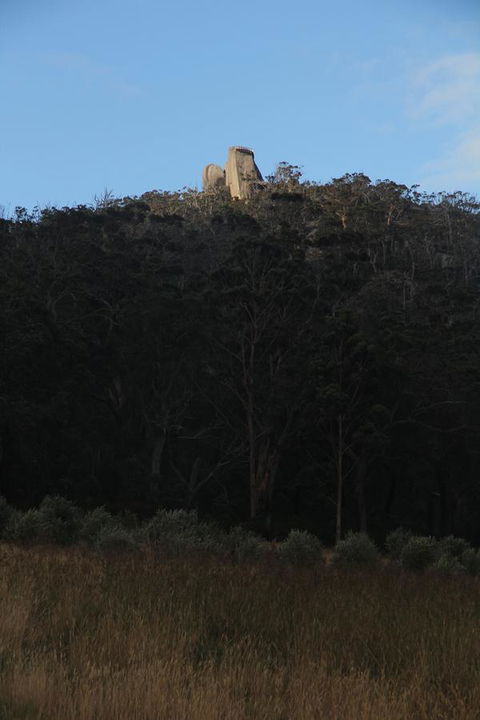 Tanen Farm - Northern Rivers Accommodation 9