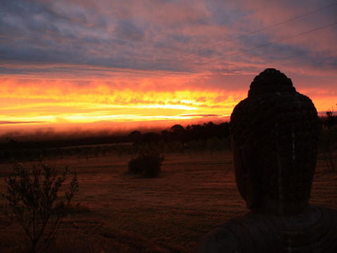 Tanen Farm - Northern Rivers Accommodation 12
